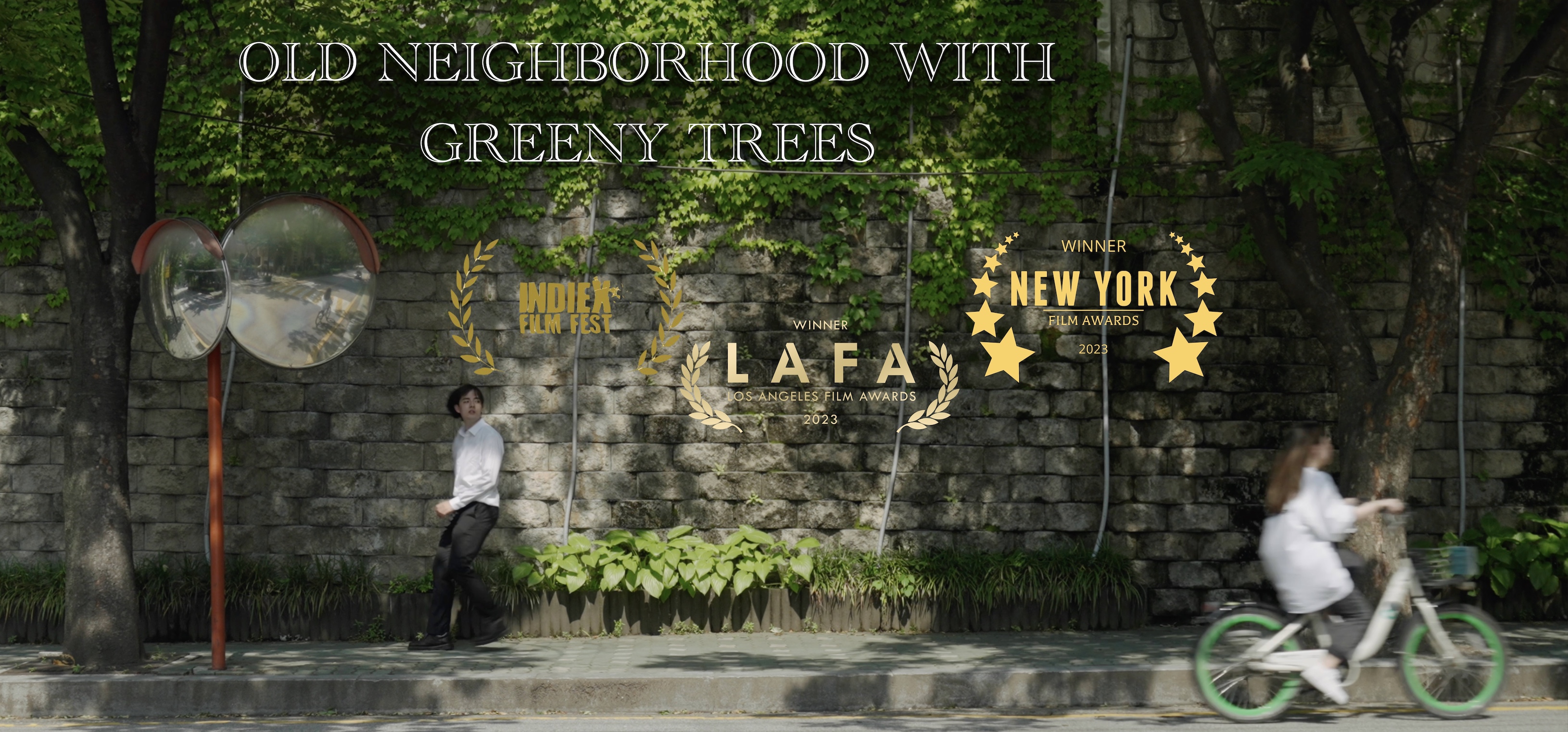 Old Neighborhood with Greeny Trees poster